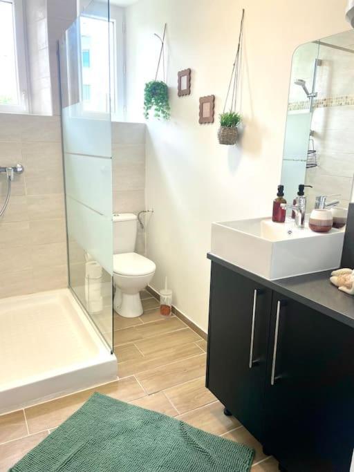 Logement Cosy Et Jardin Saint-Laurent-en-Royans Екстер'єр фото